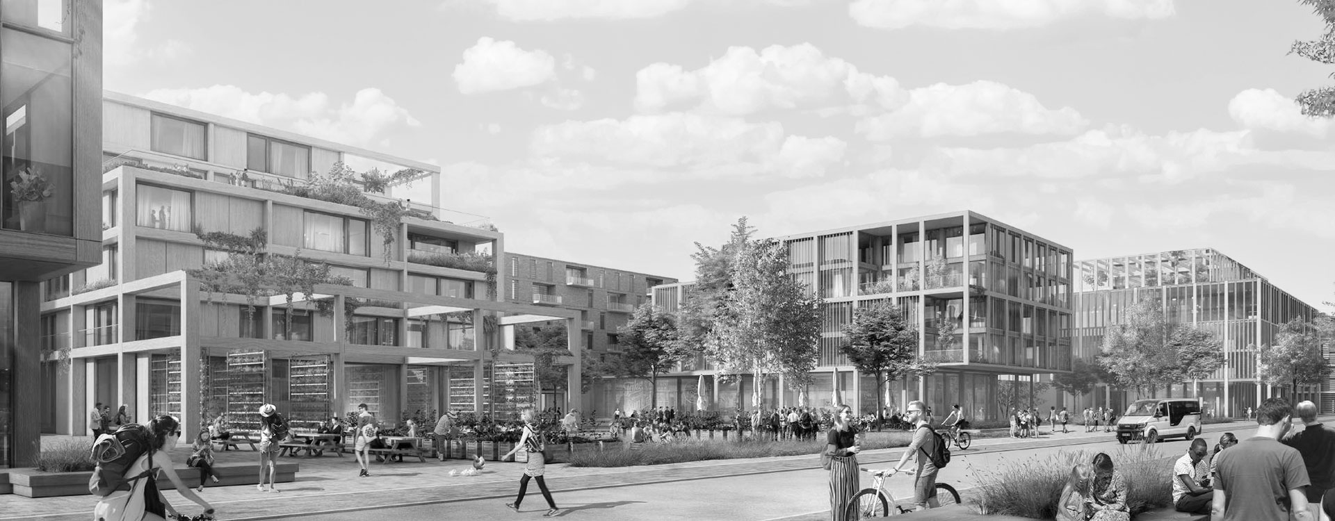 CAPRATE Gross Kienitz Studie Holzfassaden sw