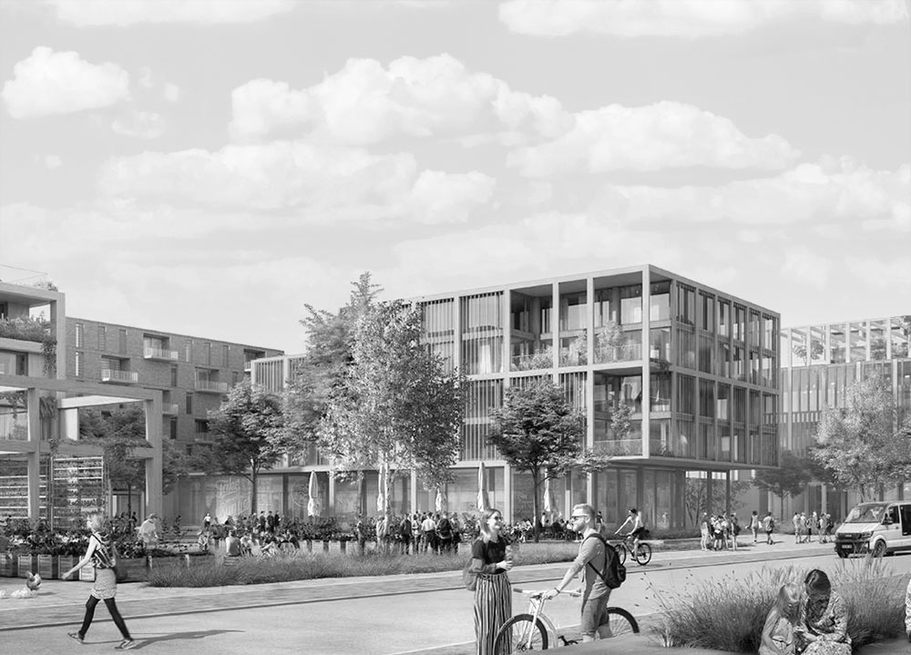 CAPRATE Gross Kienitz Studie Holzfassaden sw