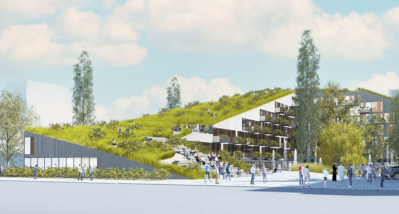 CAPRATE Malmö I Dachbegrünung2